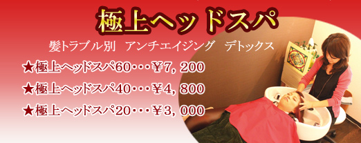 極上ヘッドスパ 極上ヘッドスパ